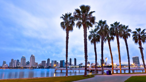 Full-Day San Diego Highlights & La Jolla Tour by Another Side Tours
