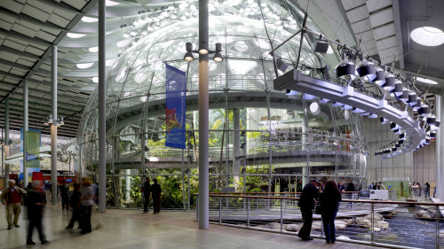 California Academy of Sciences Behind-the-Scenes Tour