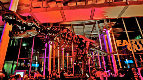 NightLife at the California Academy of Sciences