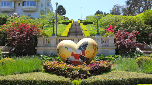 Presidio Exploration Hiking Tour by Urban Hiker San Francisco