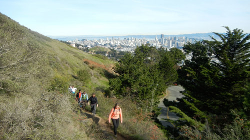 City Heights & Jungles Hiking Tour by Urban Hiker San Francisco