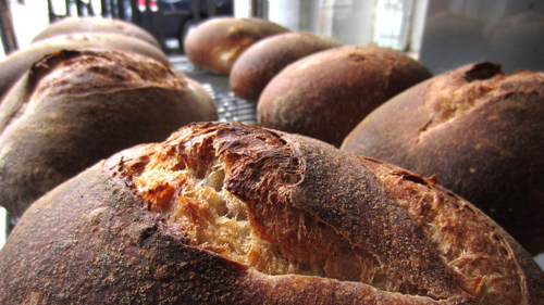 Ferry Building & Farmer’s Market Food Tour by Explore San Francisco