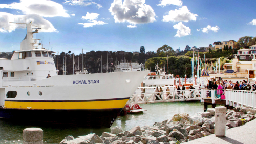 Shared Ferry: San Francisco to Sausalito by Blue & Gold Fleet