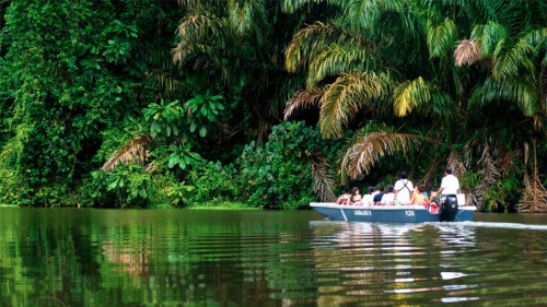 Tortuguero National Park Cruise