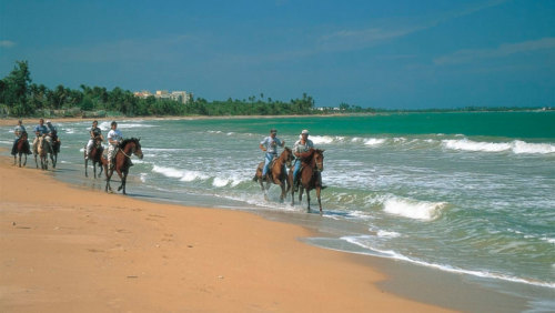 Beach & Countryside Horseback Riding