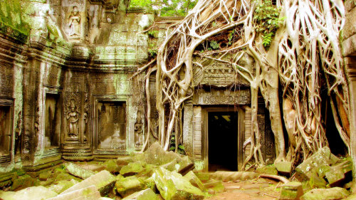 Angkor Temples Private Small-Group Tour