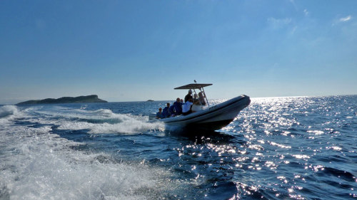 Hvar & Vis Island Speedboat Tour
