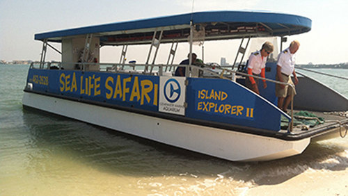 Sea Life Safari Nature Cruise