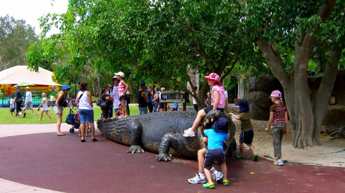 Australia Zoo Day Trip by Croc Express Coach