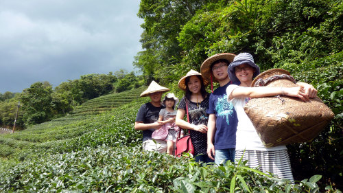 Taipei Tea Culture Day Tour