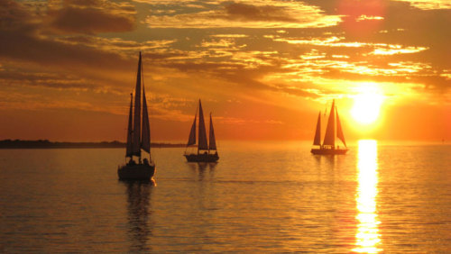 Boca Ciega Bay Sunset Cruise
