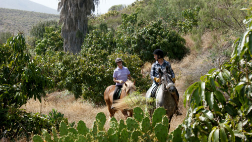 Horseback Riding in the Caldera del Rey Natural Monument