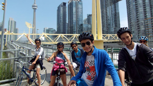 City Bike Tour with Picnic Lunch