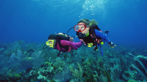 Scuba Diving Excursions