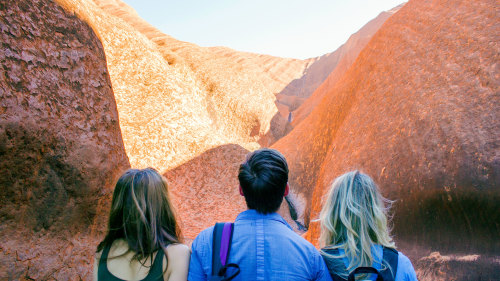 Half-Day Uluru Sunrise & Guided Base Walking Tour by AAT Kings