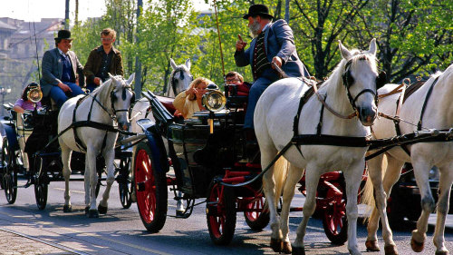 Horsedrawn Carriage Tour & Hop-On Hop-Off Bus Pass
