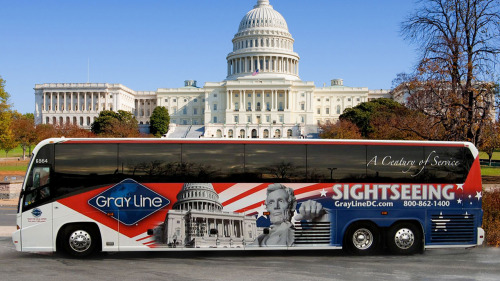 DC in a Day: Guided Full-Day City Highlights Tour