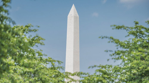Half-Day Washington Monument & City Highlights Tour