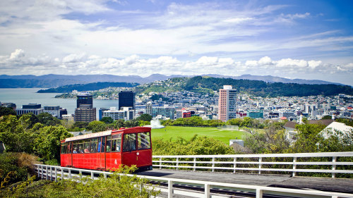 Wellington City Sights & Coastline Tour
