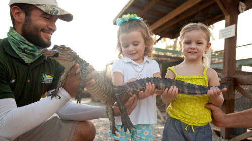 Sawgrass Recreation Park & Airboat Ride