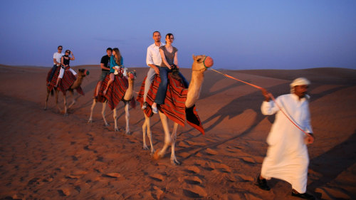 Sunset Desert Safari & Half-Day City Tour—Combo Saver by Alpha Tours