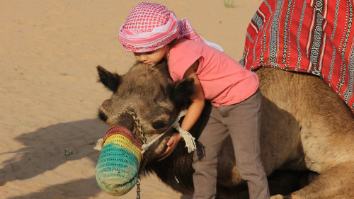 Heritage Camel Safari