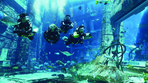 Scuba Diving in Ambassador Lagoon at Atlantis, The Palm