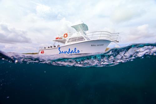 Meet The Dive King of the Caribbean