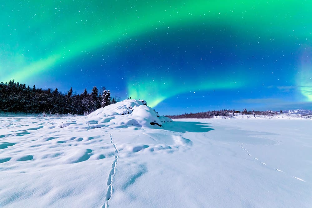 Norwegian Alaska Cruises & Cruisetours - Northern Lights Norwegian Alaska Cruises & Cruisetours - See Northern Lights