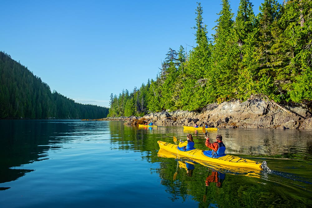 A group of tourists kayaking in Alaska