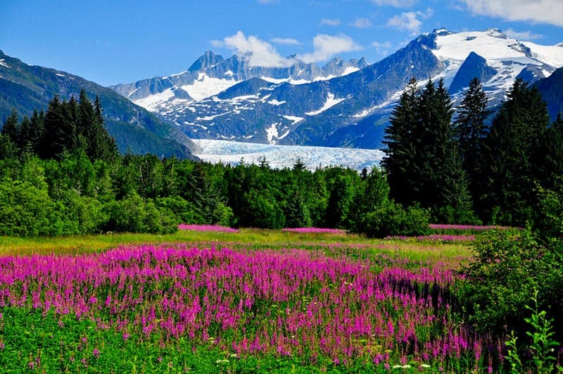 See Mendenhall Glacier on a Cruise to Alaska with Norwegian