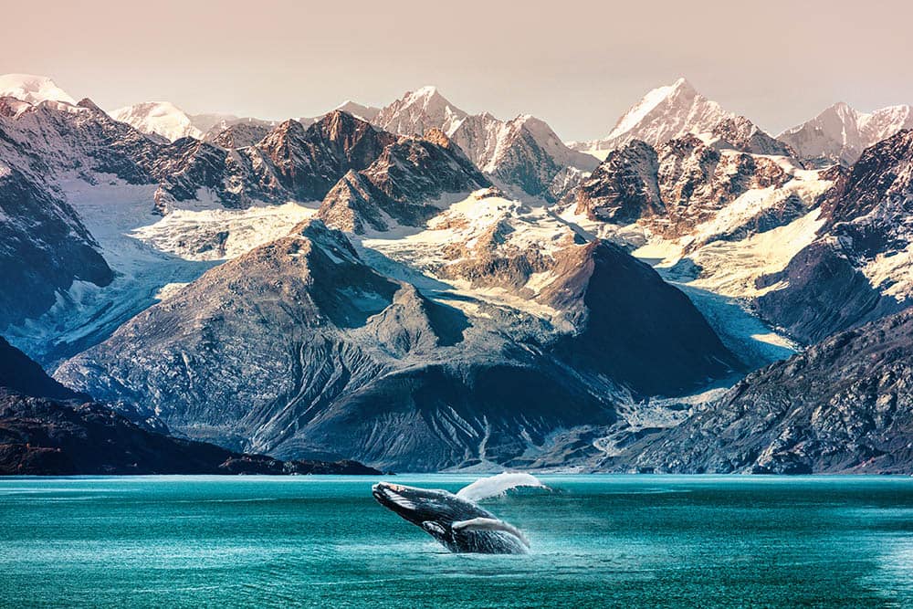 Norwegian Cruise for Seniors Norwegian Cruise for Seniors