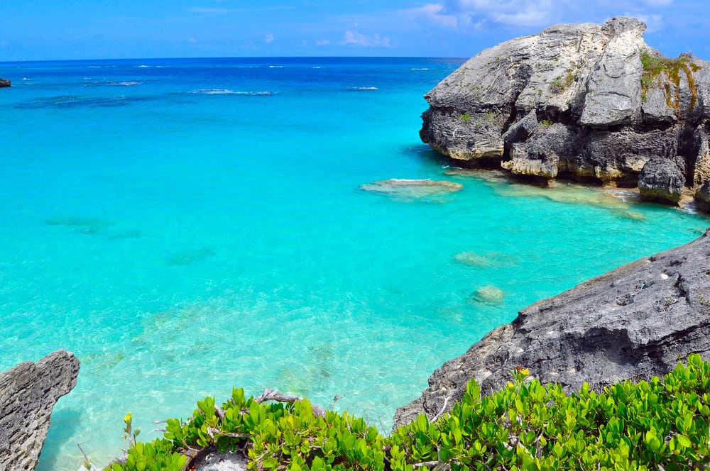 Elbow Beach Top Beaches to Visit on a Bermuda Cruise with Norwegian