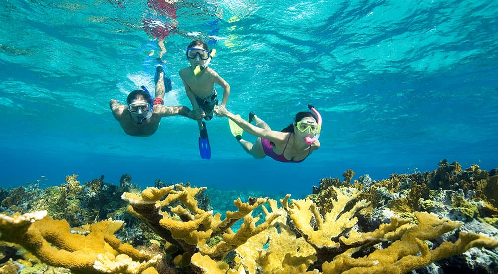 Best Snorkeling Cruises