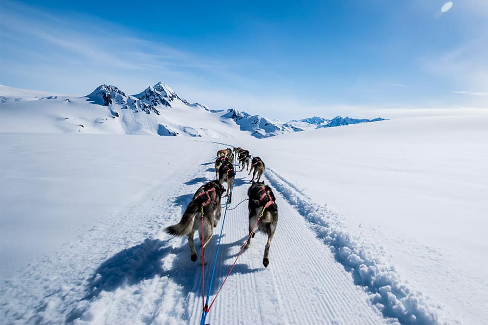 Norwegian Cruises Alaska Norwegian Cruises Alaska