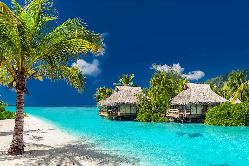 Norwegian Cruise for Seniors Norwegian Cruise for Seniors