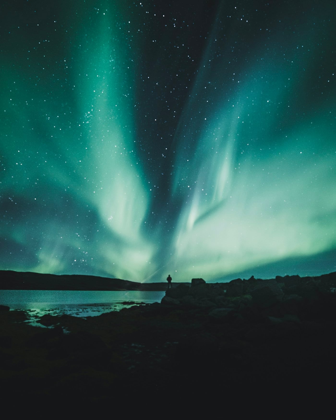 Lindblad Expeditions vs. Hurtigruten HX: Which Expedition Cruise Line is Right for You?