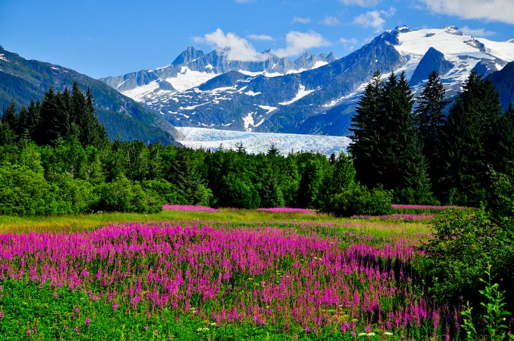 See Mendenhall Glacier on a Cruise to Alaska