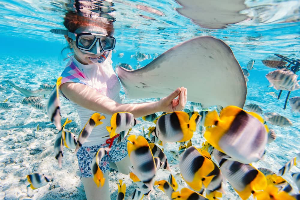 Enjoy Snorkeling in the Bahamas on a Cruise to Nassau with Norwegian