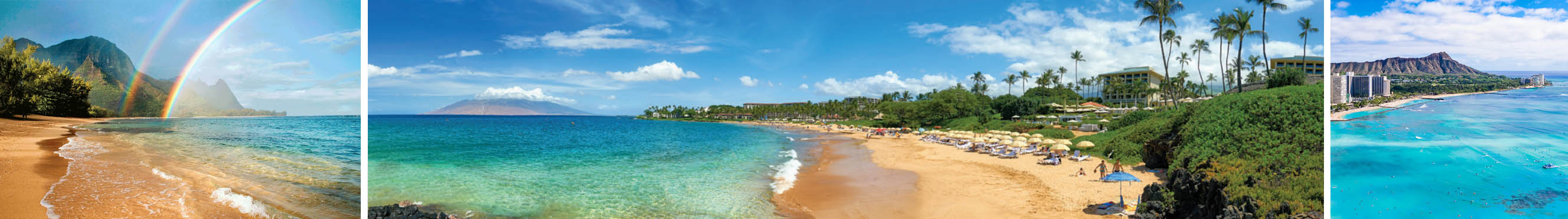 Maui Travel Agency 
