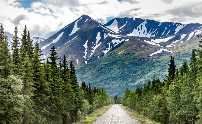 Alaska Denali National Park