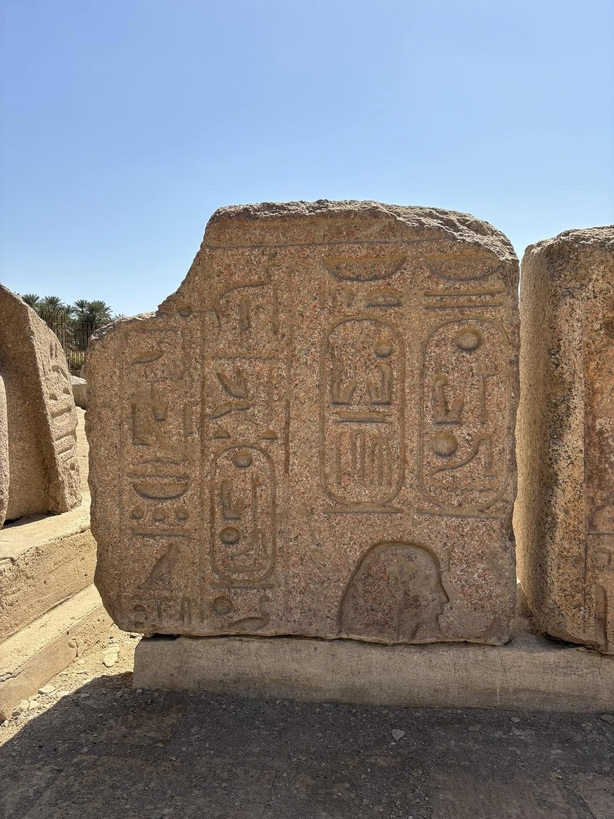Touching history: intricately carved ancient Egyptian hieroglyphics and royal cartouches