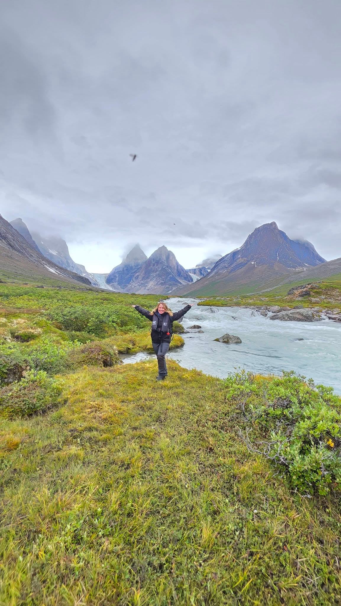 Delicate Arctic flora blooming along Greenland hiking trail