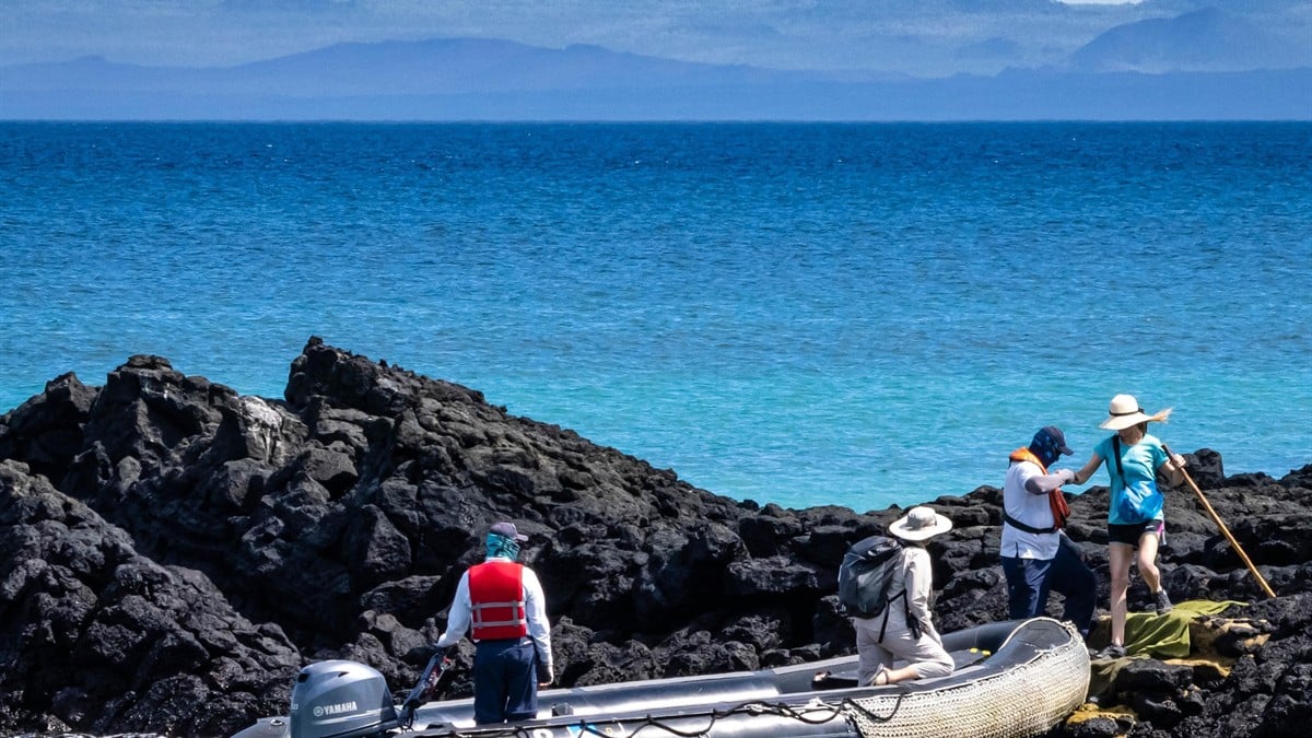 The National Geographic Endeavour II expedition ship sailing through the calm waters of the Galapagos, showcasing its purpose-built design for exploration.