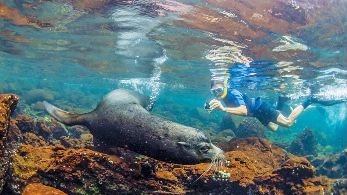 National Geographic Lindblad Expeditions logo above a pristine Galápagos beach with sea lions and an expedition ship in the distance, inviting exploration.