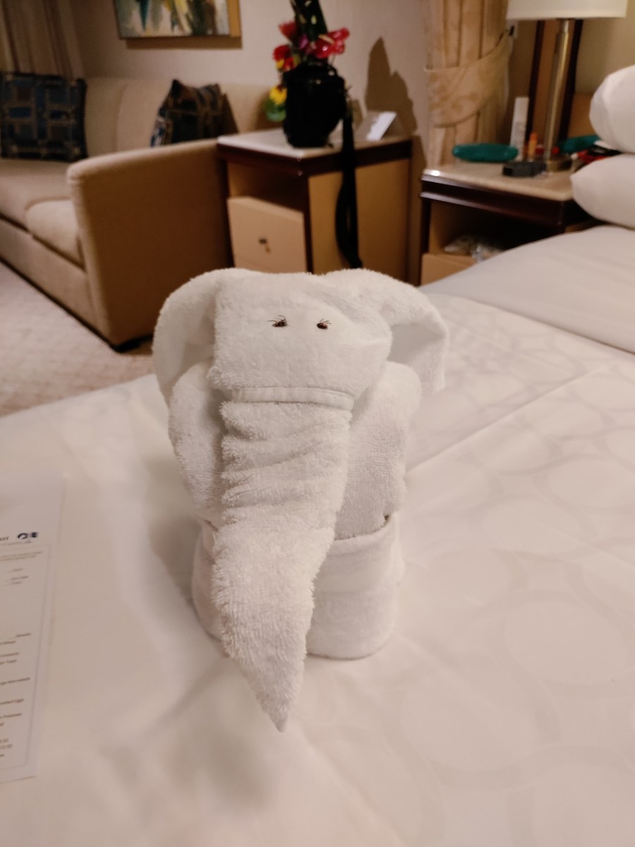 Stateroom towel animal elephant