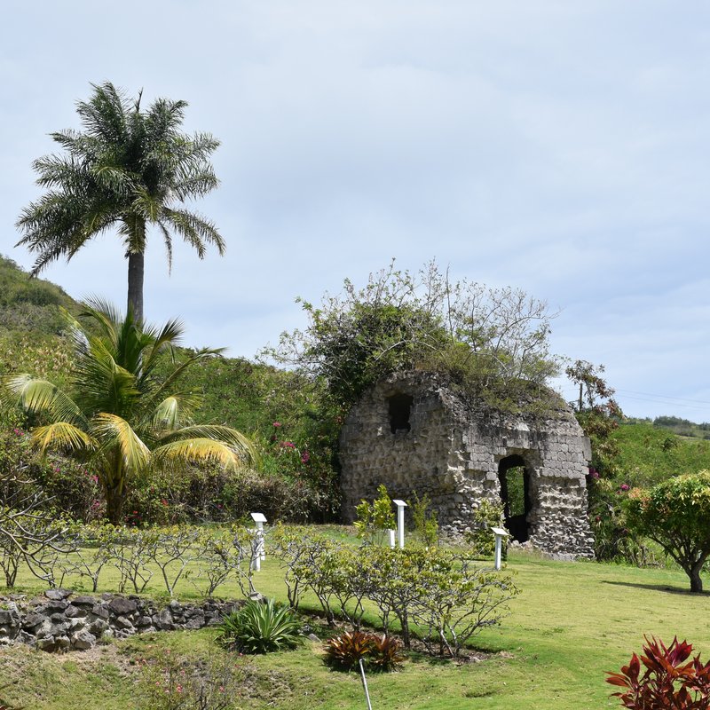 Historic Fairview Great House and rum tasting tour in St. Kitts