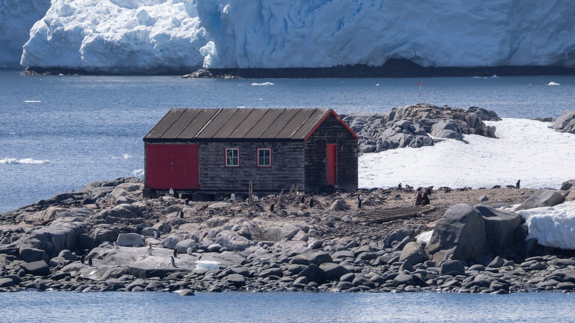 The historic British Antarctic Survey Damoy Point transit hut with penguin highways