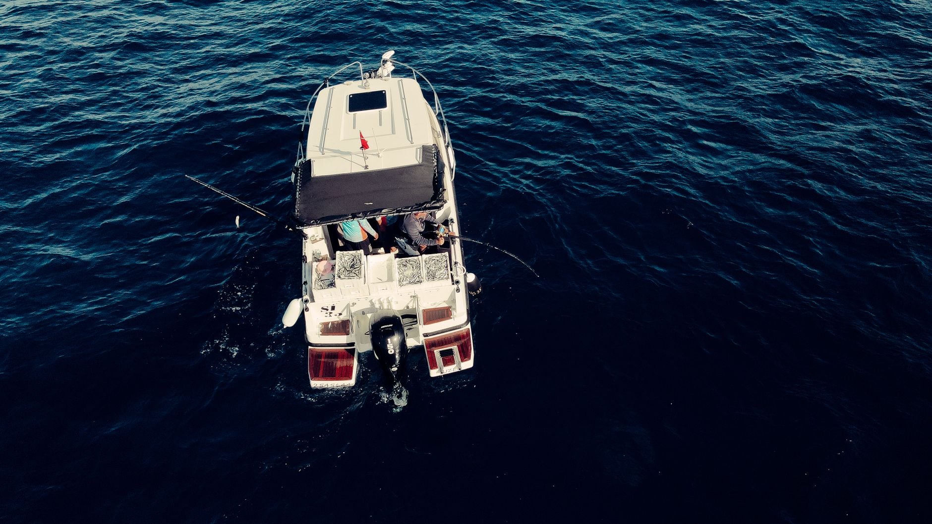 Luxury Sportfishing Charters with FishingBooker