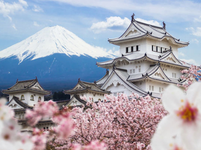 Destination Specialists